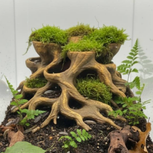 Wurzelhöhlen- Pflanzgefäß 2