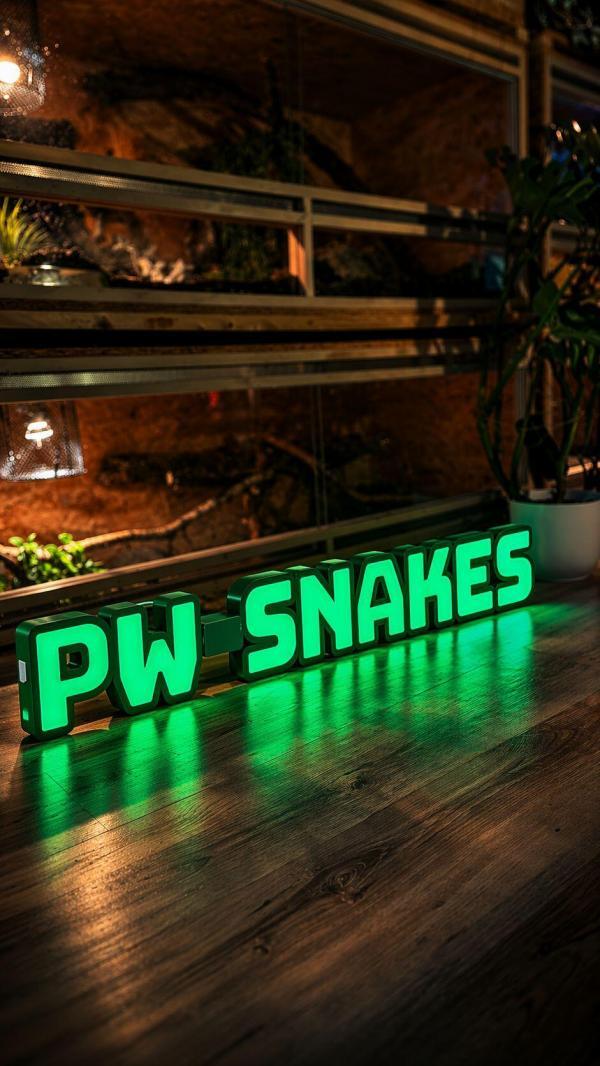 LED Namensschild personalisiert 15cm