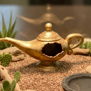 Wunderlampen- Versteck