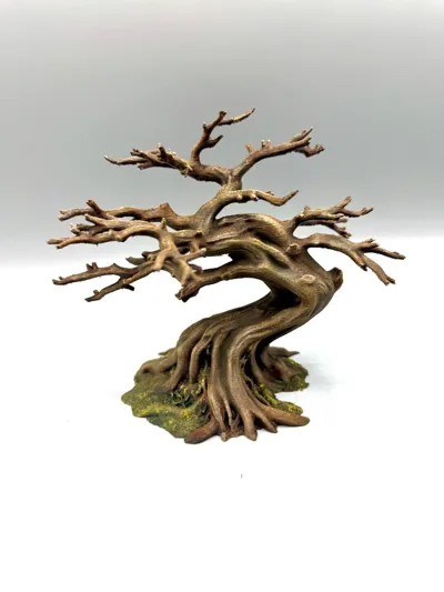 Bonsai-Kletterbaum – Bild 6