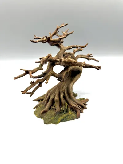 Bonsai-Kletterbaum – Bild 5