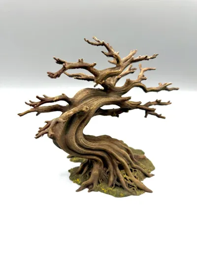 Bonsai-Kletterbaum – Bild 3