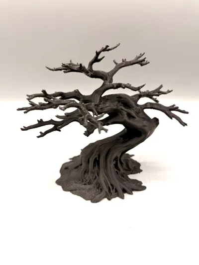 Bonsai-Kletterbaum – Bild 7