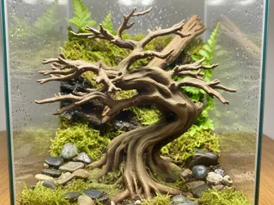 Bonsai-Kletterbaum