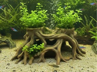 Wurzelhöhlen-Pflanzgefäß